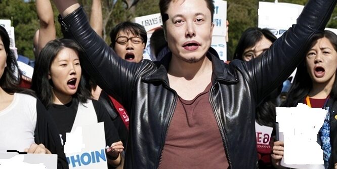 Democratic Activists Protest Against Elon Musk