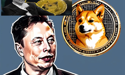 Elon Musk’s Secret DOGE Cost