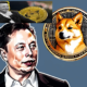 Elon Musk’s Secret DOGE Cost