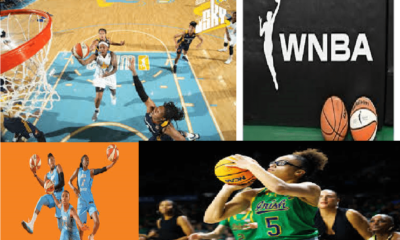 WNBA Fundamentals & Diversity