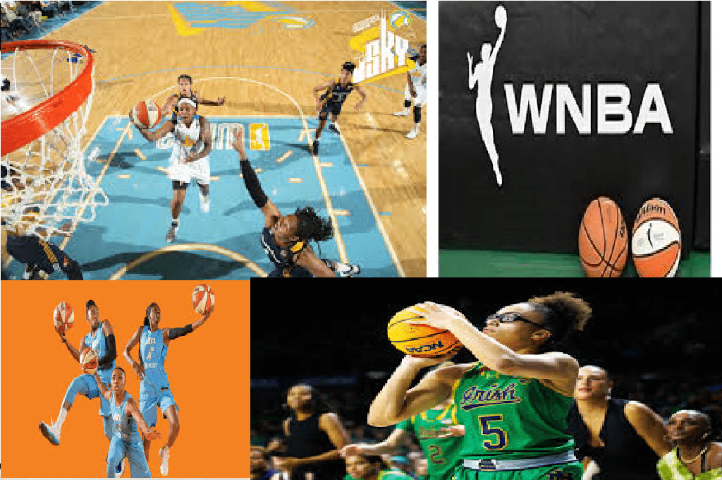 WNBA Fundamentals & Diversity