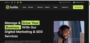 Seolla SEO & Digital Marketing Agency Template